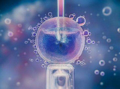 Embryo Transfer: A Critical Step in Assisted Reproductive Te - אחר