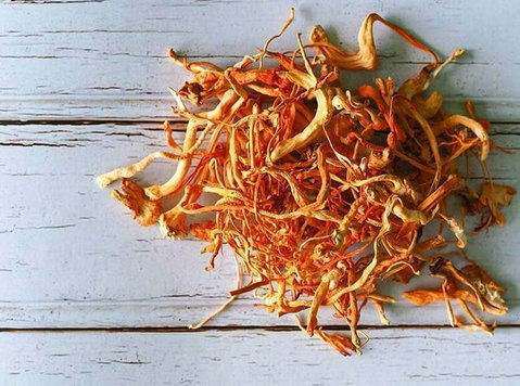 Cordyceps Mushroom Training in Bangalore 9923806933 - Iné