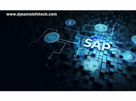 rise with sap implementation - Computer/Internet