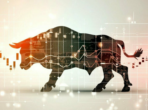 Expert Stock Market Advisory Services - Avocaţi/Servicii Financiare