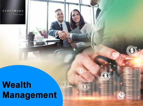 Mastering Wealth Management: Strategies for Financial Succes - Νομική/Οικονομικά