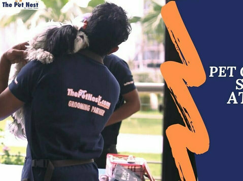 Best Pet Grooming Service Near You in Bangalore - Övrigt