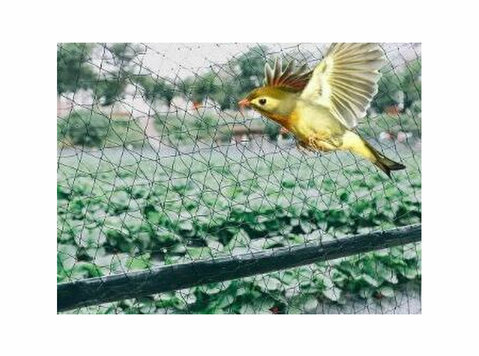 Bird protection nets in Bangalore - Övrigt