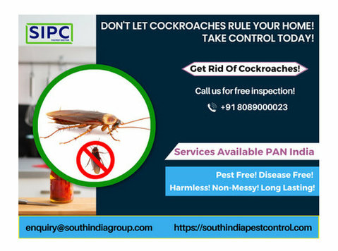 Cockroach Pest Control Bangalore - Altele