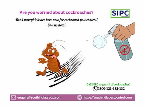 Cockroach Pest Control in Mumbai - Services: Other