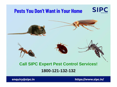 Pest Control Services in Bangalore - Друго