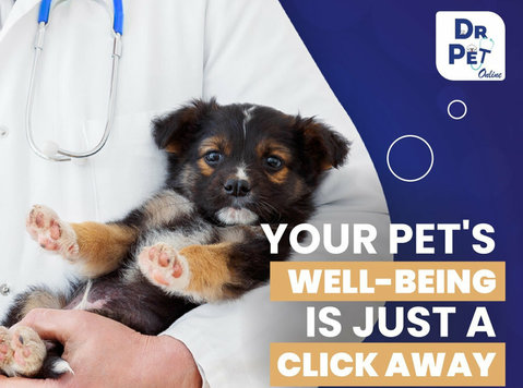  Does Banfield Pet Hospital Take Walk-Ins? Your Comprehensive Guide to Pet Care Convenience