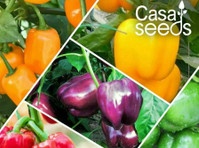 Buy Online Vegetable Seeds at the Best Price | Casa de amor - Autres