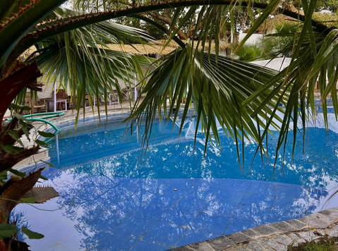 Best Resorts in Pench for Couples – Perfect Getaway - Services: Other
