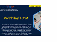 Workday Hcm Online Training Bisp - Sonstige