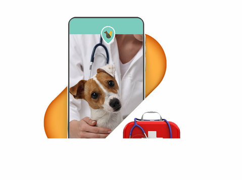 Dog Insurance Policy - Pet Medical Insurance - Sonstige