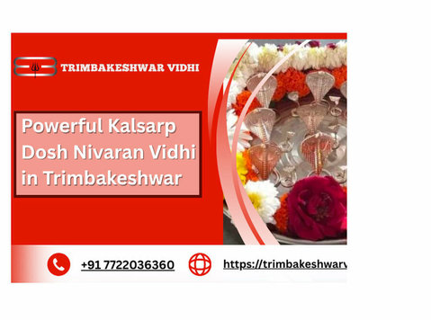 Powerful Kalsarp Dosh Nivaran Vidhi in Trimbakeshwar - Services: Other