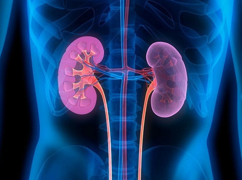 Top Kidney Specialist in Nagpur - Outros
