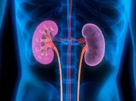 Top Kidney Specialist in Nagpur - Services: Other