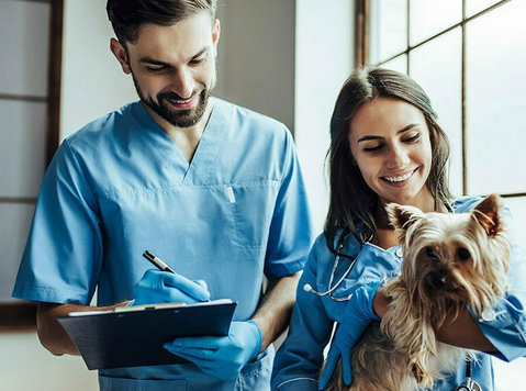 Veterinary Care at Home - Services: Other
