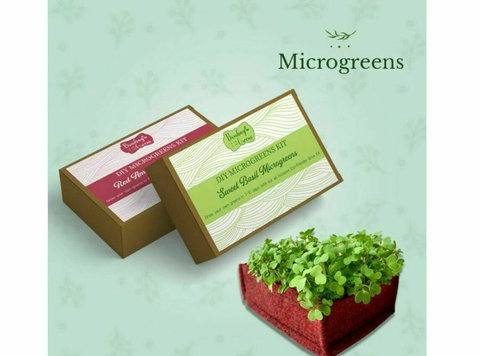 Thoughtful and Sustainable Corporate Gifts That Show You Car - Otros