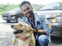 Pet Relocation Services in Mumbai - Mudanzas/Transporte