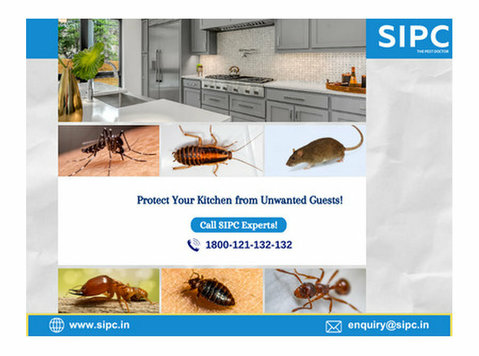 Pest Control Services in Mumbai - Services: Other
