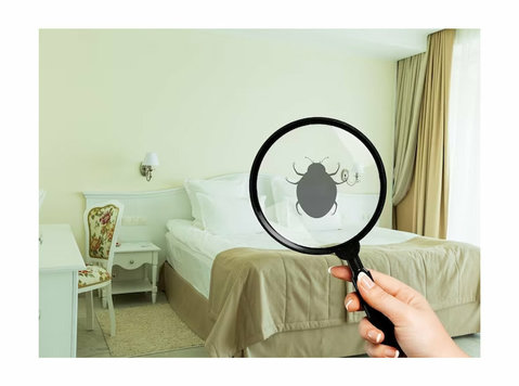 Bed Bug Pest Control Services in Pune - Call 07795001555 - Diğer