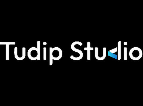 Discover endless entertainment with Tudip Studio - Diğer