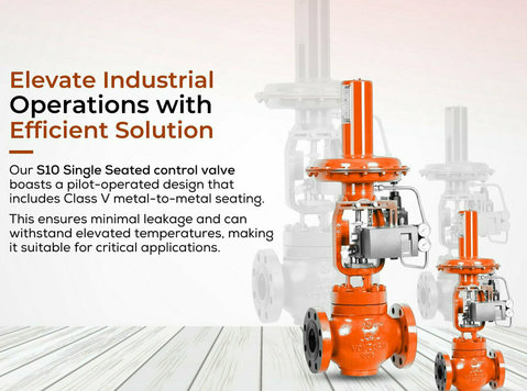 S 10 Single-Seated Control Valve in India - Annet