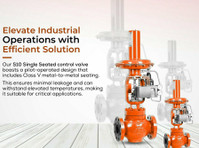 S 10 Single-Seated Control Valve in India - Outros