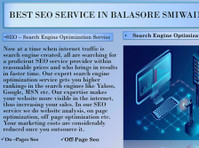 Best Website Optimization Service|| Search Engine Optimize - Computer/Internet
