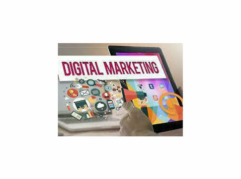 Which is the Best Seo Course in Amritsar? - 컴퓨터/인터넷