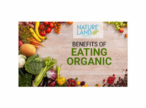Buy Organic Food Products Online in India - Друго