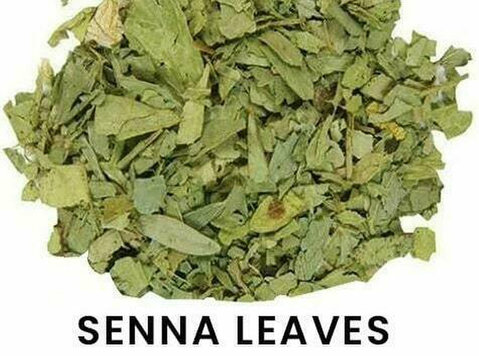 Senna Leaves Manufacturer & Exporter - Hanuman Traders  - Beauty/Fashion