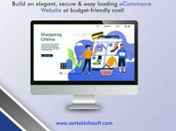 zentek - website and mobile app development company - Otros