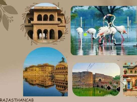 Rajasthan Tour Package From Indore - Переезды/перевозки