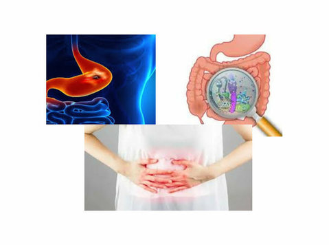 Best Bariatric Surgeon in Jaipur: Your Path to a Healthier - Services: Other