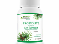 Saw Palmetto Online - Andet
