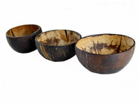 Palm leaf plates and bowls products manufacturer & exporter - 其他