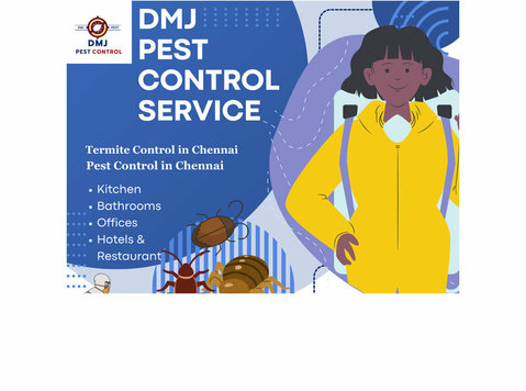 pest control in chennai - சுத்தப்படுத்துதல்