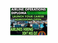 flight dispatch and airline operations diploma - その他