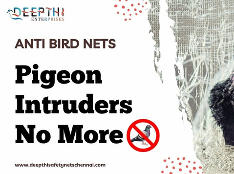 Feathered Nuisances No More: A Comprehensive Guide to Anti B - ก่อสร้าง/ตกแต่ง