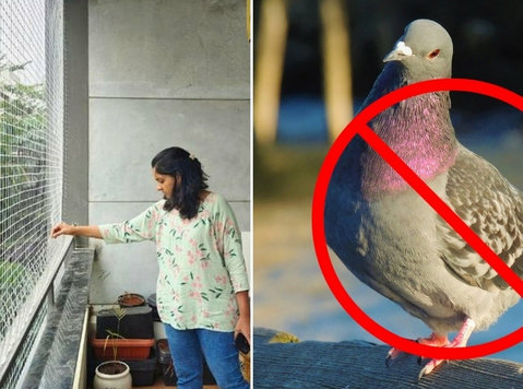 Feathered Friends No More: Mastering the Art of “bird Protec - گھر کی دیکھ بھال/مرمت