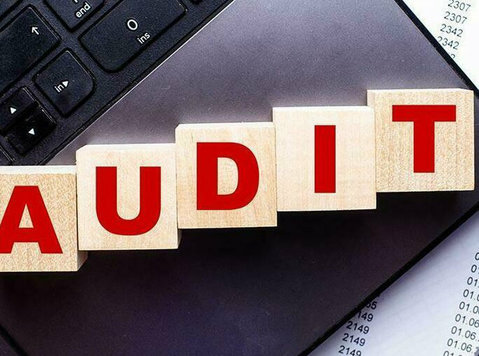 Fixed assets register auditing - Juss/Finans