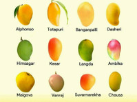 Mango Farming for Sale in Chennai - M/S Holidays Mango Farm - Övrigt