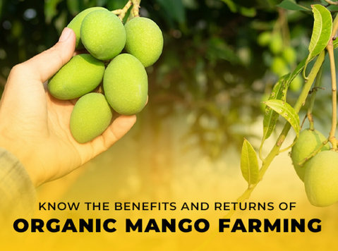 Organic Farm Land for Sale in Chennai - M/s Holidays Farm - Annet