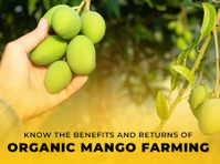 Organic Farm Land for Sale in Chennai - M/s Holidays Farm - Otros