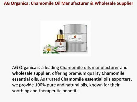 Organic Chamomile Oil Manufacturer & Bulk Supplier - Beauty/Fashion