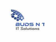 Buds n Tech It Solutions: Top-notch Web Services in Noida - கணணி /இன்டர்நெட்  