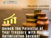 Discover Treasury Management System with MyForexEye - Legal/Finance