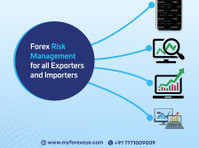 Secure Your Finance with Our Expert Forex Risk Management - Legal/Gestoría