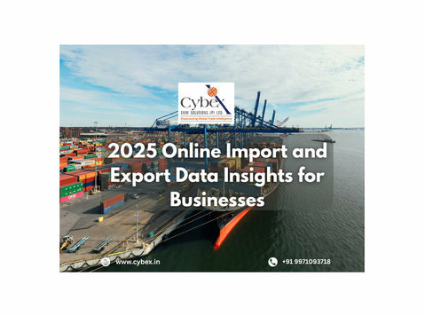 2025 Online Import and Export Data Insights for Businesses - Άλλο