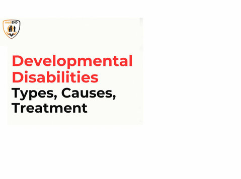 Developmental Disabilities: Types, Causes, Treatment - Другое