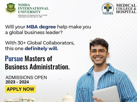 MBA in Hospital & Healthcare Management at NIU - Services: Other